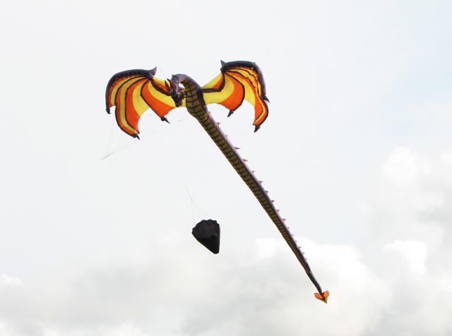 v11n_dragon-boneless