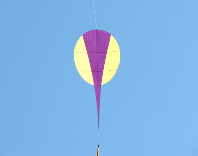 v12n_limule_p-peigne