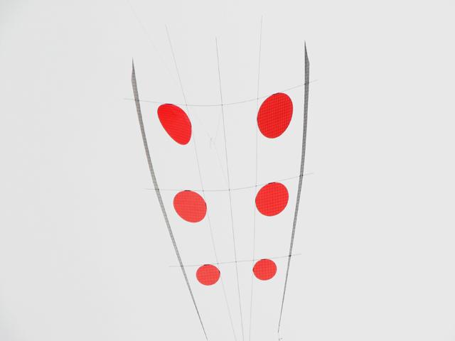 v13n_portee_p-peigne