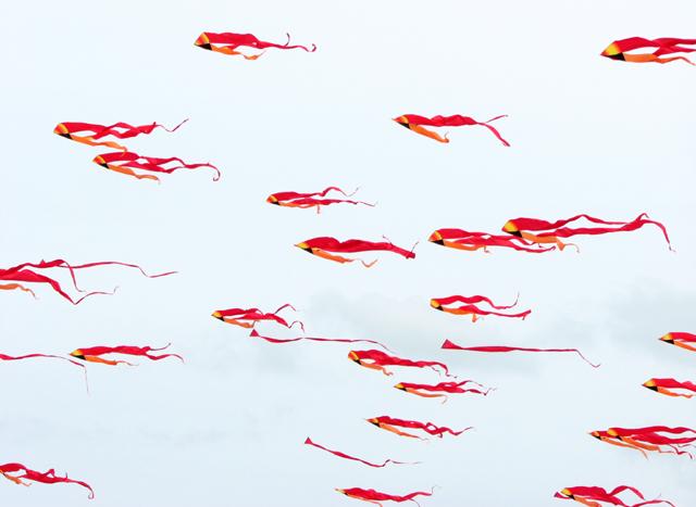 v21n_deltas_p-thomas