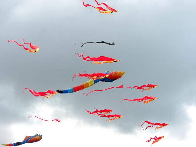 v22n_deltas_p-thomas