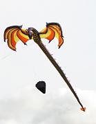 v11n_dragon-boneless