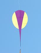 v12n_limule_p-peigne