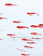 v21n_deltas_p-thomas