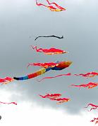 v22n_deltas_p-thomas