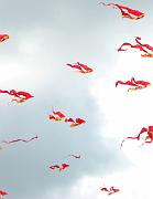 v23n_deltas_p-thomas