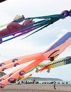 v26n_boneless-dieppe08